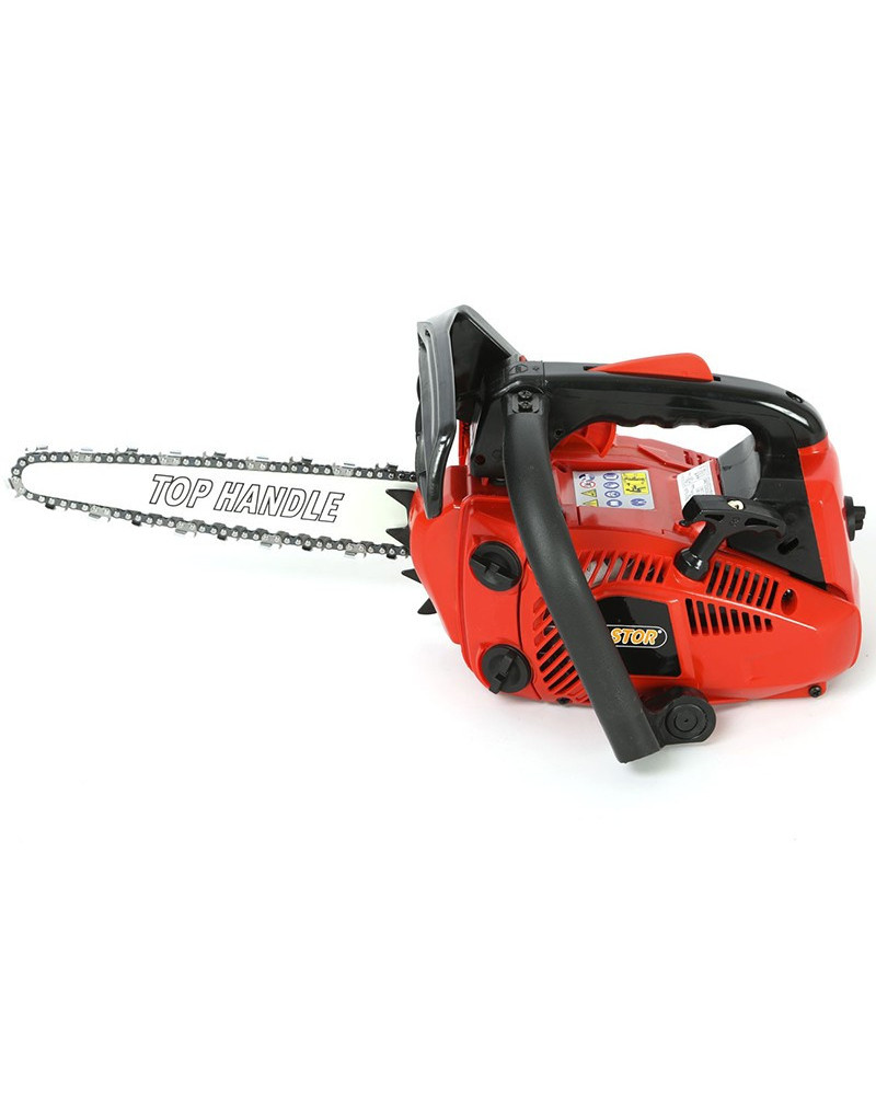 MOTOSEGA CASTOR CP300