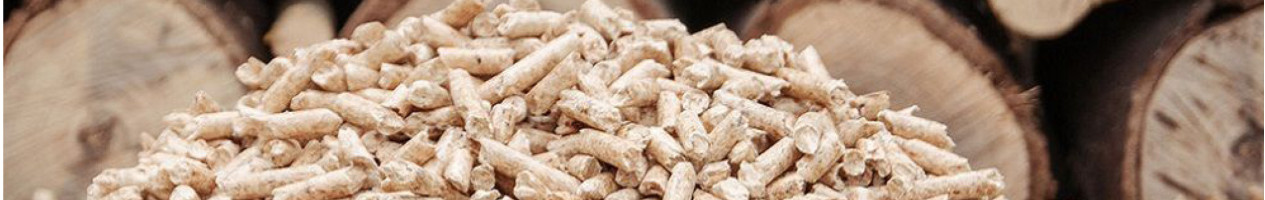 Legna,pellet e combustibili